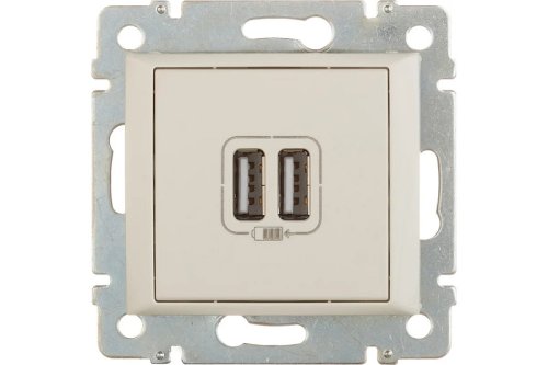 Розетка с USB 2-м без рамки Legrand Valena 1-м. слоновая кость фото Розетка с USB 2-м без рамки Legrand Valena 1-м. слоновая кость картинка